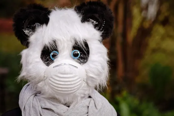 SlotsWin Casino Soporte